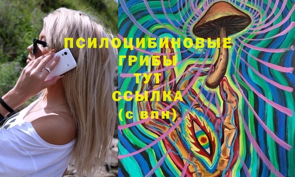 амф Алзамай