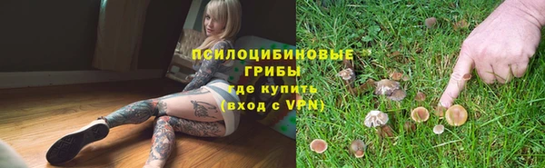 хмурый Алексеевка