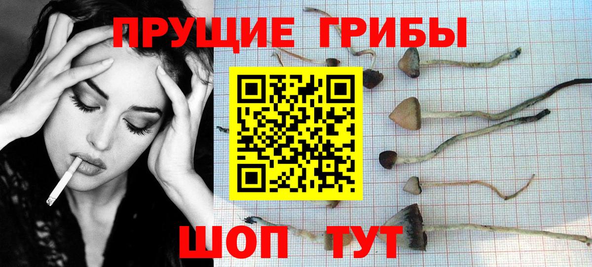 Топки  Псилоцибиновые грибы Psilocybe  Вход с VPN  Галлюциногенные грибы мухоморы 