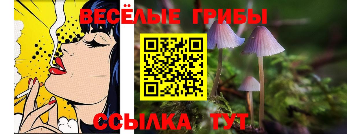 Псилоцибиновые грибы Magic Shrooms Топки
