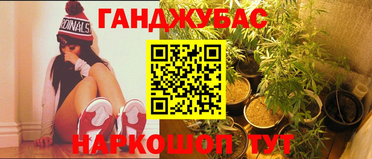 Каннабис планчик  Вход с VPN  МАРИХУАНА семена  Топки 